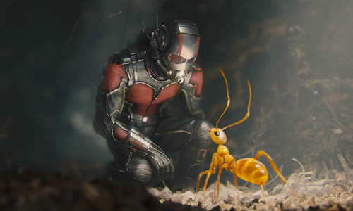 映画 アントマン では味方だった猛毒蟻 ヒアリ について徹底解説 Rockinnet Com 映画評論 音楽情報